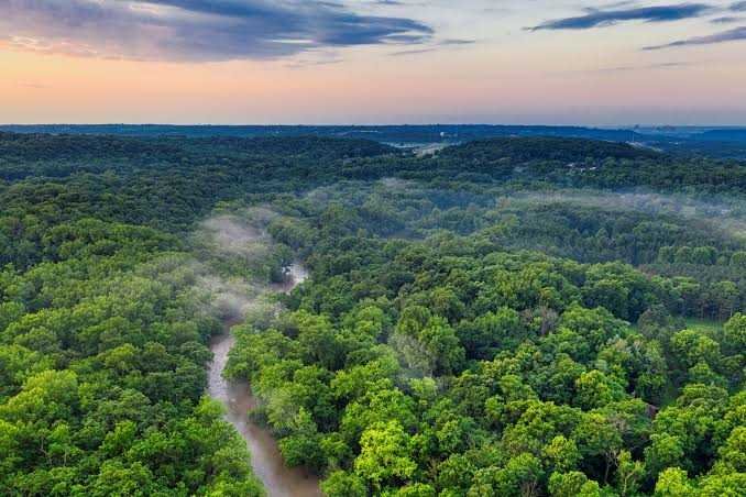 Forest Conservation